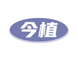 今植