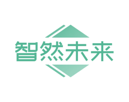 智然未来