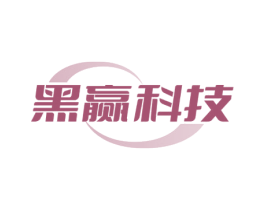 黑赢科技