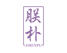 朕朴