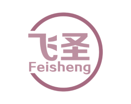 飞圣