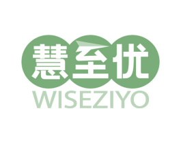 慧至优 WISEZIYO