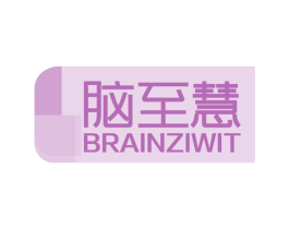 脑至慧 BRAINZIWIT