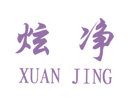炫净