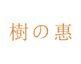 树惠