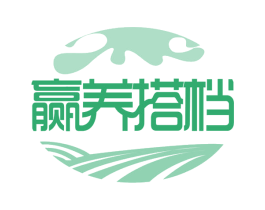 赢养搭档