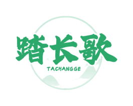 踏长歌