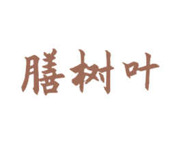 膳树叶