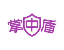 掌中盾