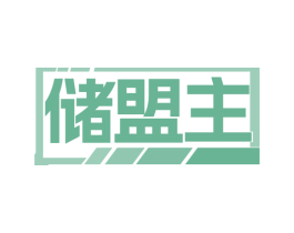 储盟主