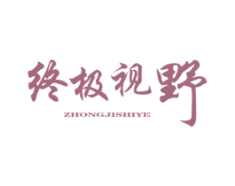 终极视野