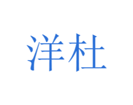 洋杜