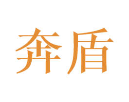 奔盾