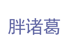 胖诸葛