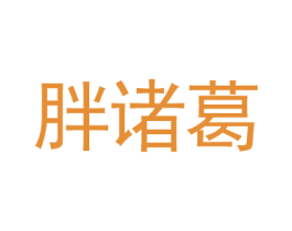 胖诸葛
