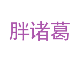 胖诸葛