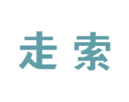 走索