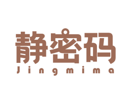 静密码
