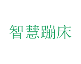 智慧蹦床