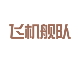 飞机舰队