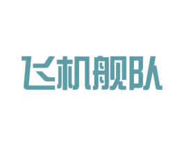 飞机舰队