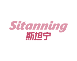 斯坦宁