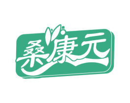 桑康元