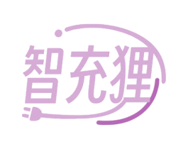 智充狸