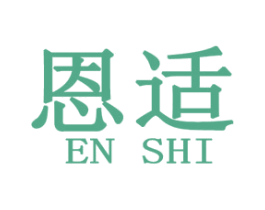 恩适