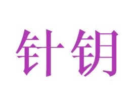 针钥 第09类科学仪器商标转让 注册号46158186
