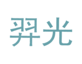 羿光 第09类科学仪器商标转让 注册号39950680