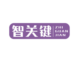 智关键