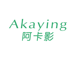 阿卡影