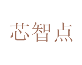 芯智点