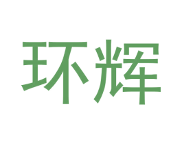环辉