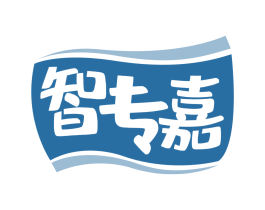 智专嘉