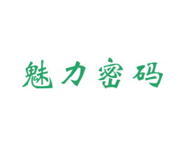 魅力密码