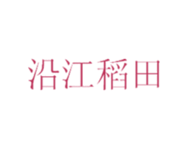 沿江稻田
