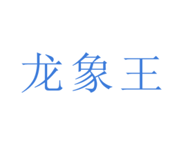 龙象王