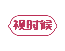 视时候 第09类科学仪器商标转让 注册号55704519