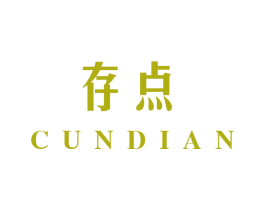 存点
