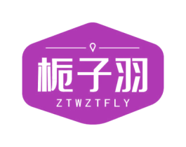 栀子羽 ZTWZTFLY