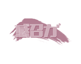 感召力