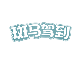 斑马驾到