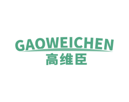 高维臣