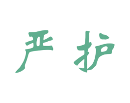 严护