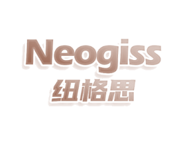纽格思 NEOGISS