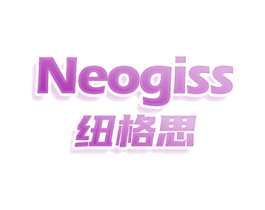 纽格思 NEOGISS
