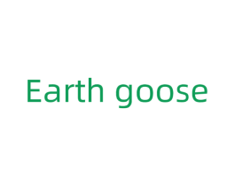 EARTH GOOSE