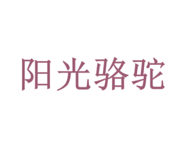 阳光骆驼